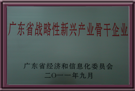 廣東省戰(zhàn)略性新興產業(yè)骨干企業(yè)