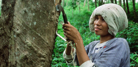 【煒林納】泰國橡膠加工產(chǎn)品出口美國態(tài)勢良好